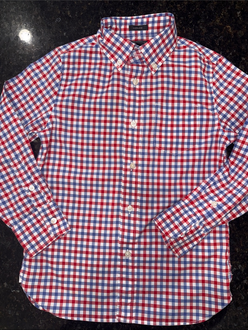Crewcuts Red, White & Blue Gingham Button-Down Shirt
